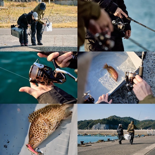 26 ネクサーブ